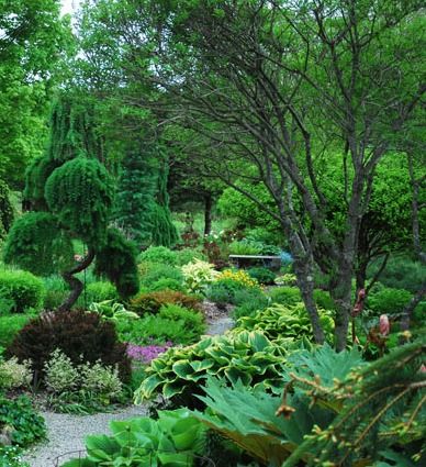 Gardens_119
