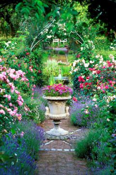 Gardens_518