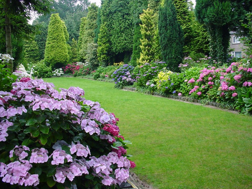 Gardens_523