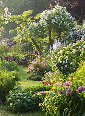 Gardens_597