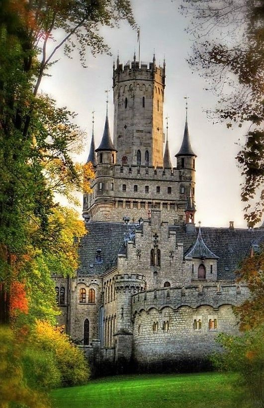 Luxury HomesCondos Rentals Hotels 557