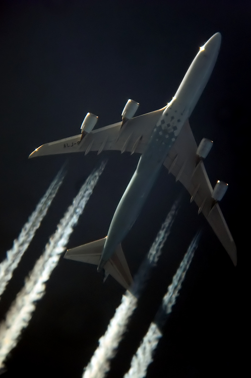 Planes_41